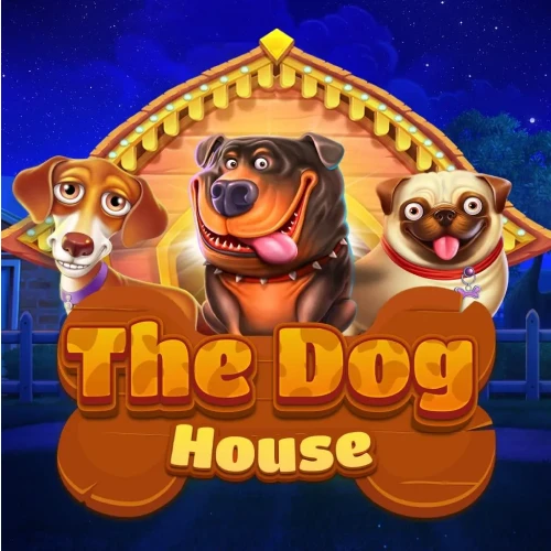 Experience The Dog House slot at MegaPari online.